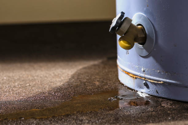 Best 24/7 water damage repair  in Gibson, AR