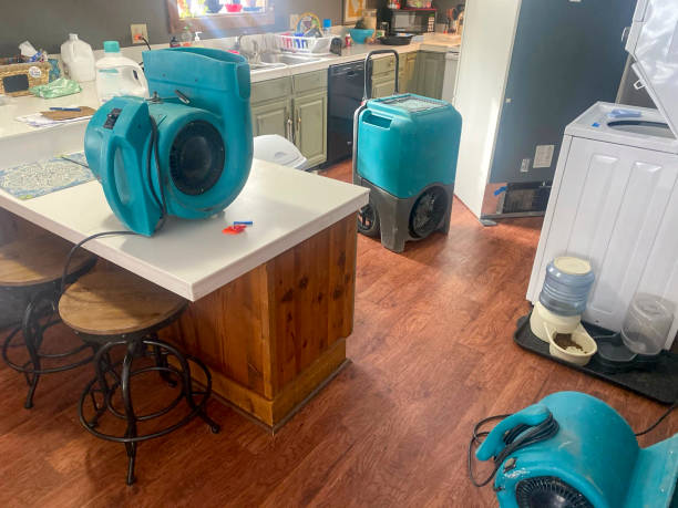 Best Flooded house restoration  in Gibson, AR