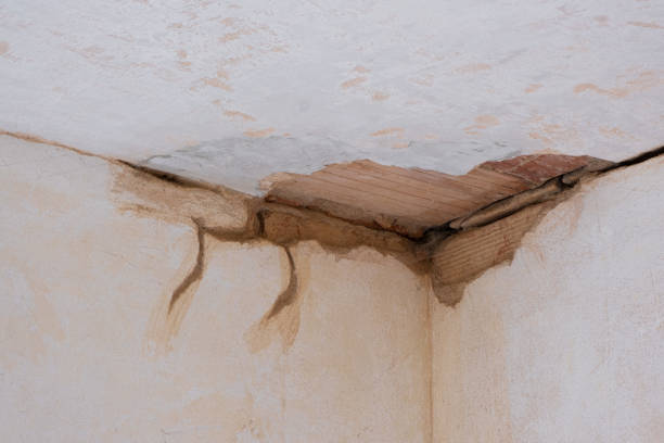 Best Basement water damage restoration  in Gibson, AR